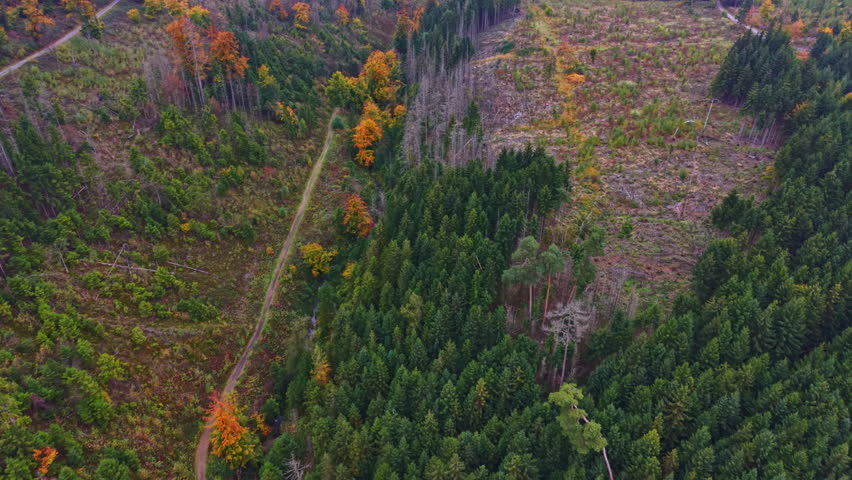 In a lush mountainous area the scene captures the vibrant fall colors of trees on one side contrasting with the stark cleared land on the other revealing natures changing landscape.