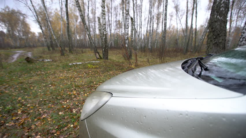 A car is parked under trees on an autumn day while rain falls softly and leaves cover the ground.