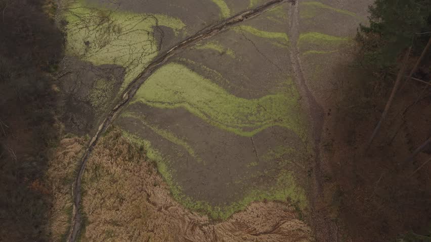 Aerial view reveals a wetland. Algae blooms expand across the surface. Water recedes, exposing cracked earth. A fallen log bisects the scene - Plzen, Czech - Jan,04,2025