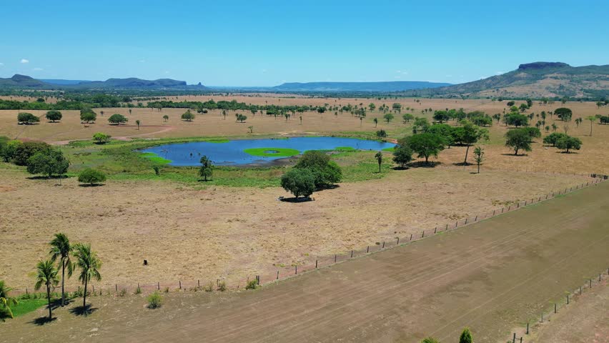 Aerial View of Natural Lake and Savanna Landscape Under Clear Sky