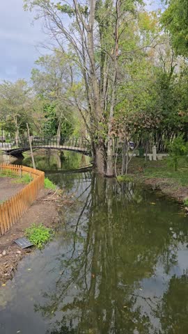 Forest lake view at springtime. Trees reflects in calm green water. Peaceful landscape, 
