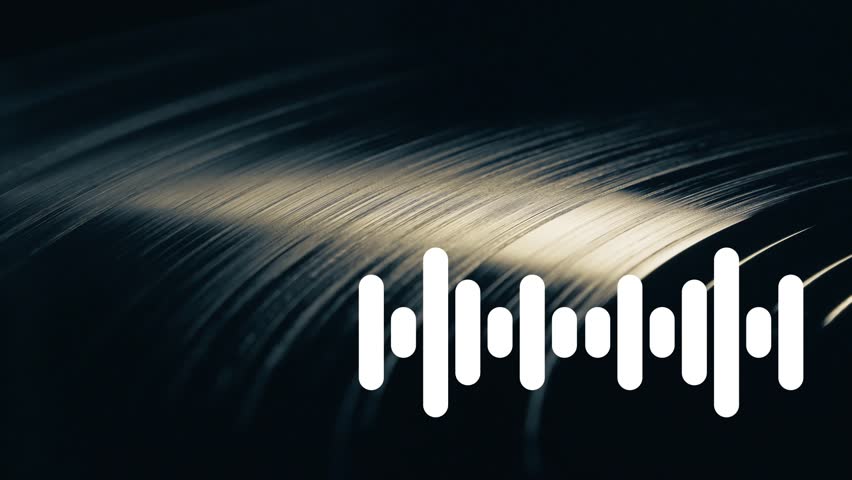 Vinyl plate with audio waveform