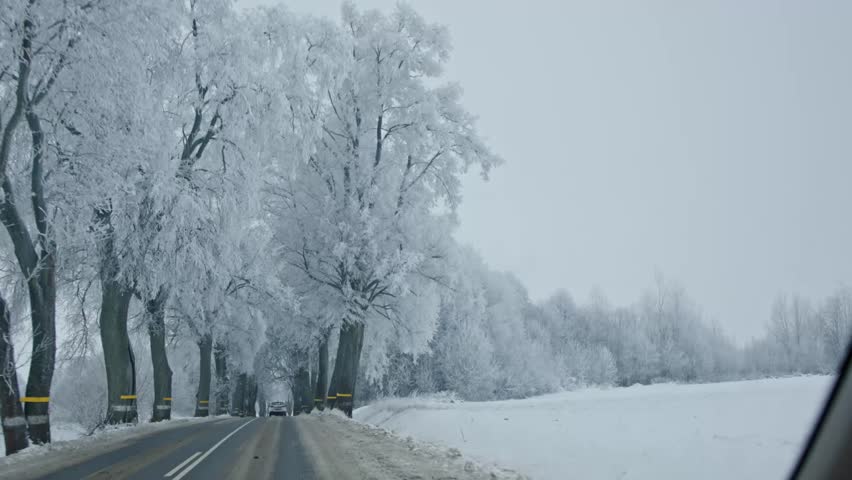 A peaceful, serene winter scene showcasing a picturesque snowy road beautifully lined with frosted trees