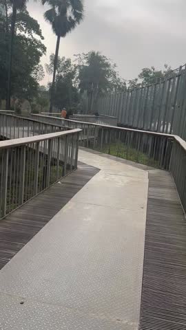 A charming bridge arches gracefully over a serene park pond, surrounded by lush greenery, blooming flowers, and winding pathways, creating a picturesque scene that evokes tranquility, leisure, nature, reflection, and the peaceful beauty of outdoor spaces.