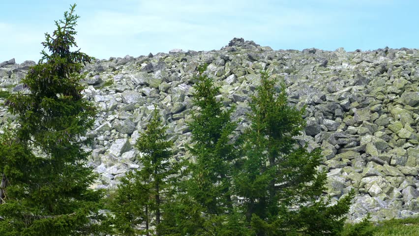 Beautiful landscape view of the Big Stone River (Bolshaya Kamennaya Reka) in the Taganay National Park, Southern Urals, Russia.