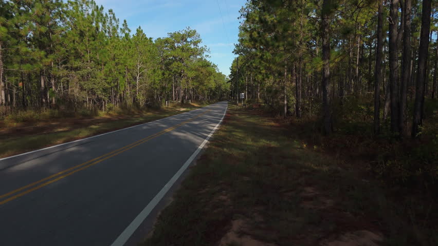 Paved road winds below tall pine forest as sunlight filters across quiet rural landscape, aerial dolly in Blackwater River State Park Florida entrance sign