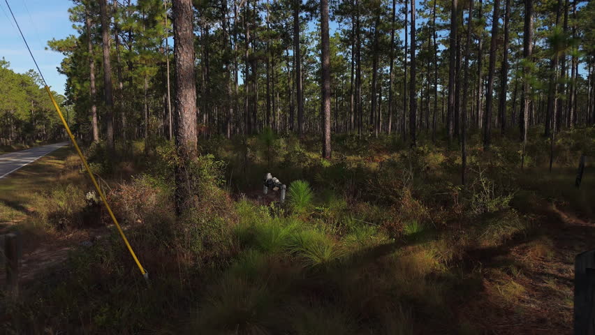 Drone pullback from forest clearing to 25 speed limit mph and Blackwater River State Park entrance sign, mixed trees and undergrowth in warm afternoon light