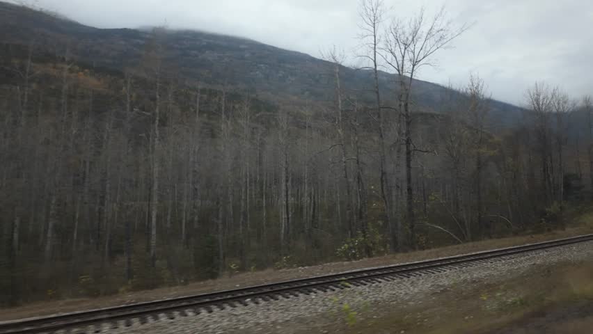 Gimbal moving shot of the Skagway River as seen from the White Pass Yukon Route railway during the fall season in Southeast Alaska. 4K