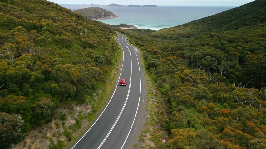 Aerial tracking following car on a narrow road winding through dense green coastal vegetation, Wilsons Promontory Victoria Australia
