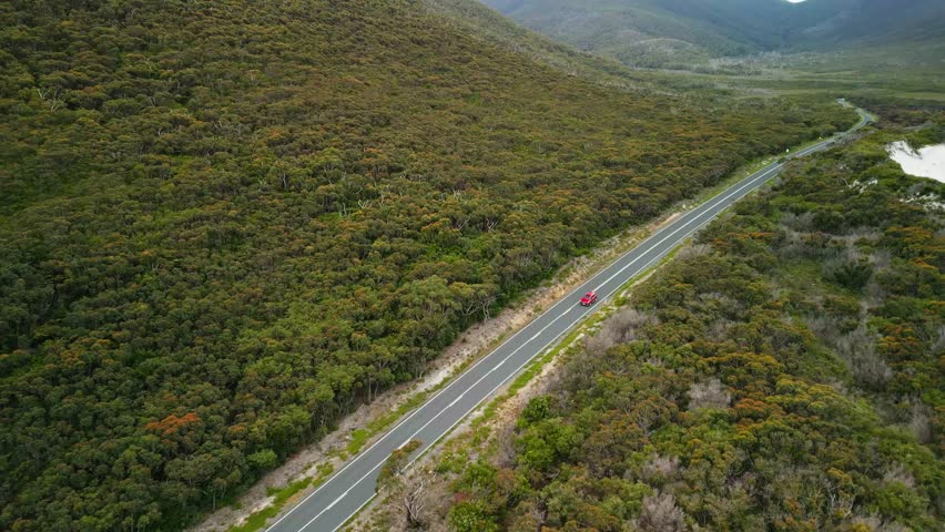 Drone over coastal grassland and winding road cutting through natural terrain near shoreline, car driving along, Wilsons Promontory Victoria Australia