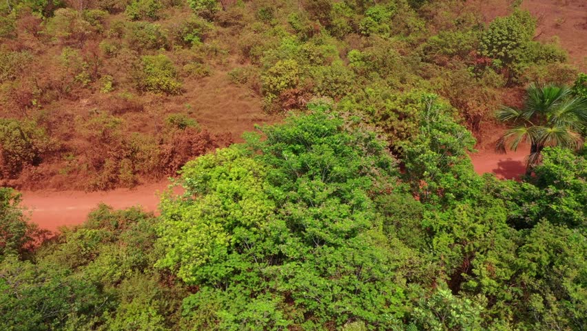 Drone aerial follows 4x4 pickup cerw cab truck on terra roxa dirt road cutting through cerrado vegetation low shrub strata, campo dry grassland, with red latosol exposed soil.