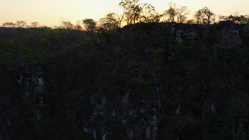 Slow drone ascend rises from dense Cerrado canopy showing mixed vegetation texture and tree diversity, transitioning to broader plateau view with distant mesa silhouettes under golden sunrise light