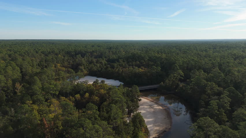 High aerial panoramic pullback surrounded by thick pine forest in Florida wilderness, Blackwater River State Park Florida