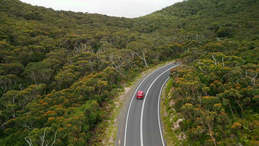 Drone following car on winding road cutting through dense coastal forest landscape, Wilsons Promontory Victoria Australia
