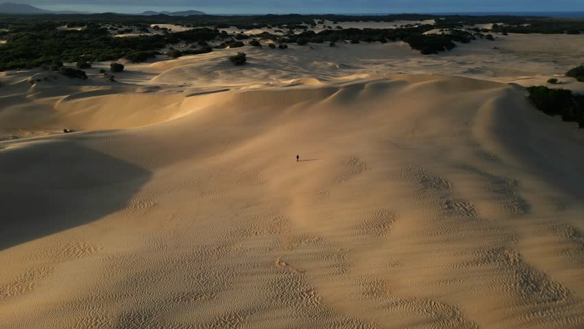 Aerial of person walking across smooth sandy beach patterns shaped by wind and water near empty shoreline, Big Drift, Wilsons Promontory Victoria Australia