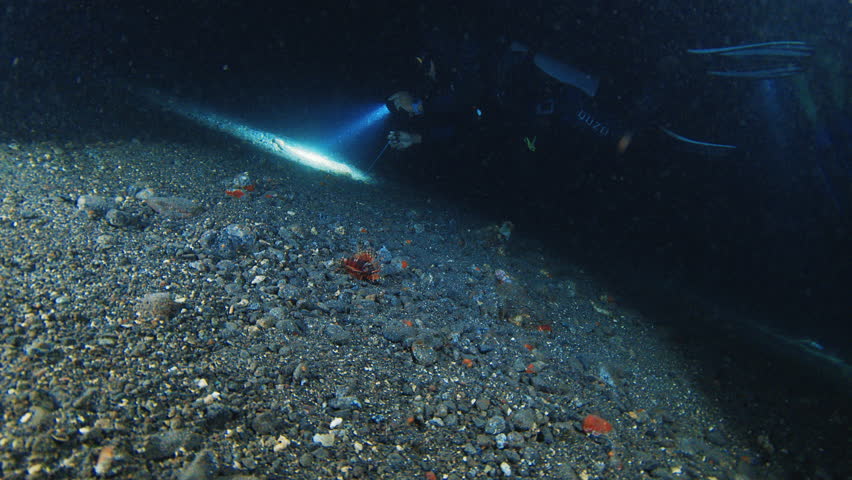 Muck diving in Indonesia. Scuba diver swims underwater in the sea at night and searches creatures with the torch. Muck diving on Alor island in Indonesia