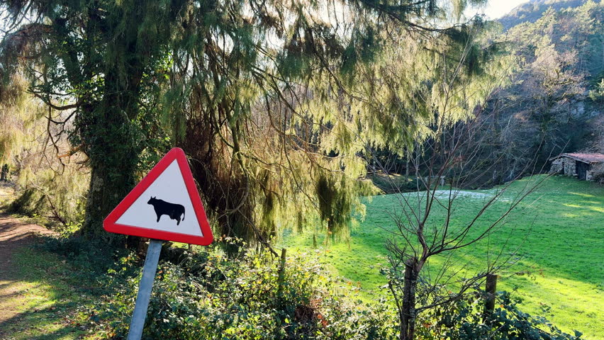 Triangular animal warning sign beside green pasture in Terras de Bouro