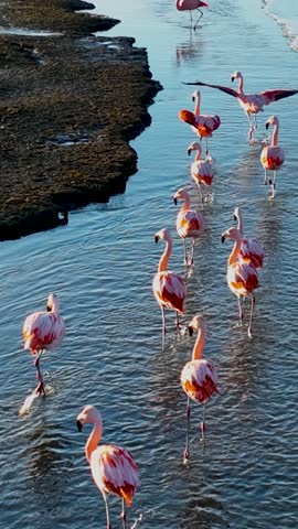Snowy City In El Calafate Patagonia Argentina. Capturing The Hustle And Bustle Of A Vibrant City From Above. Outdoor Tourism Icon Patagonia Glacier. Outdoor Aerial Landscape. El Calafate Patagonia.