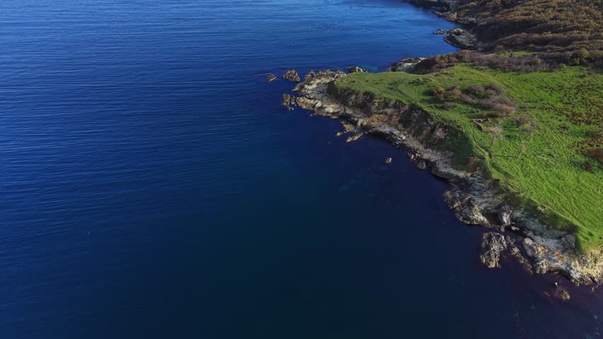 This aerial view shows a serene coastline with rocky shorelines and vibrant green patches. The calm water reflects the clear sky near the coast.