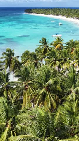Saona Island In Punta Cana La Altagracia Dominican Republic. Aerial View Of Stunning Beach With Crystal Clear Waters. Shore Sky Beach Sea. Shore Seaside Panorama. Punta Cana La Altagracia.