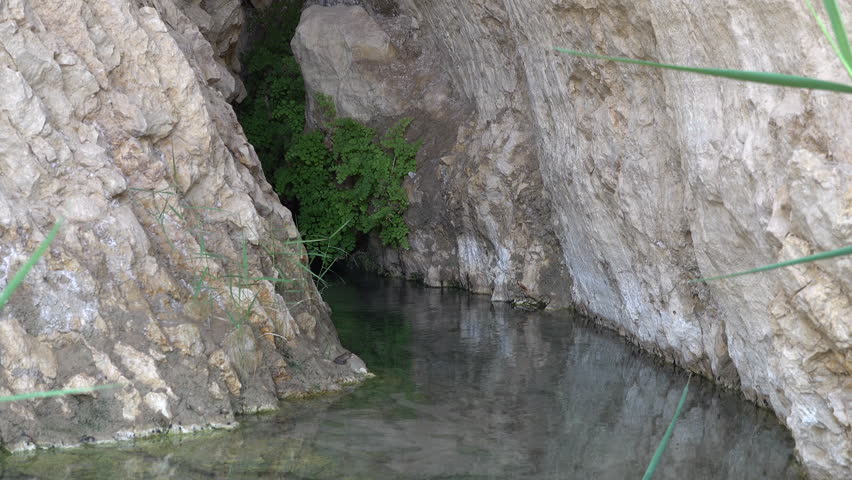 Water in small pool in Chebika, a desert oasis near Tozeur in Tunisia
