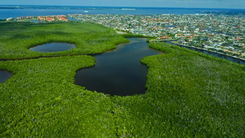 Dense green mangrove wetlands surround calm water bodies near a sprawling residential neighborhood along Florida