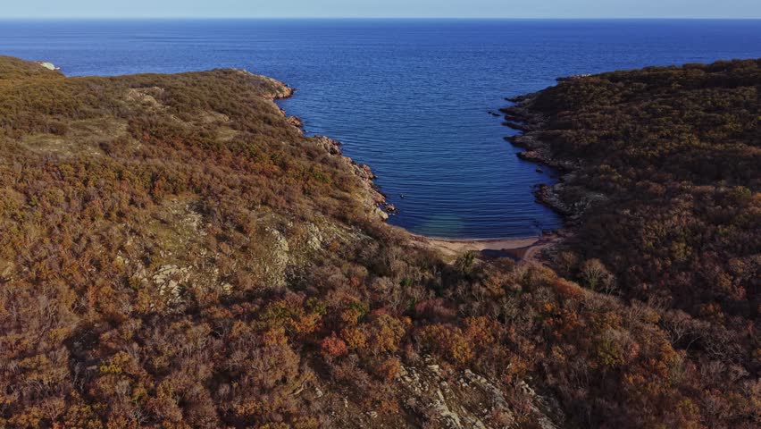 Colorful autumn foliage surrounds a tranquil beach cove, with calm waves lapping at the shore, creating a serene seaside landscape under clear blue skies.