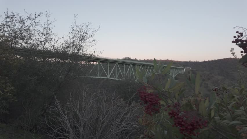 Cinematic moving shot pushing through green plants and foliage, gradually revealing the Foresthill Bridge in Auburn, California.