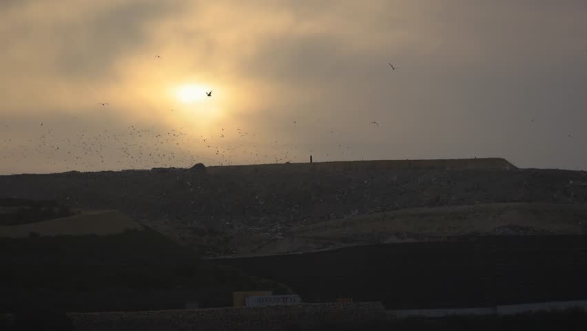 Garbage waste serv of Malta. Scenic view of a large multi-layered landfill at sunset in Malta, with numerous birds flying over the waste mounds against a golden hazy sky. 4k video