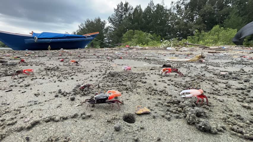 Moody tropical coastal timelapse showing a blue wooden fishing boat resting on a sandy beach with mangrove trees and active crabs in the foreground under moving storm clouds.