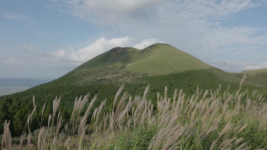 Wind flowing through grass with a green mountain in background on a sunny day at Mt. Aso National Park, Kyushu, Japan.