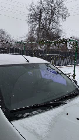 A white car blanketed in fresh snow, its windshield and hood dusted with snowflakes. Behind, a green metal fence with frosty branches and leafless trees, set against a gray, overcast winter sky. Captu