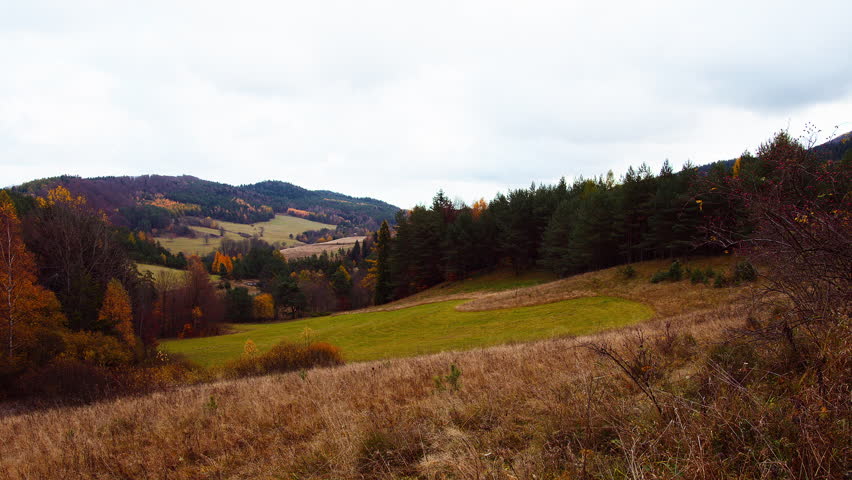 Scenic autumn countryside landscape with rolling hills, green meadows, and a mixed forest of evergreen and deciduous trees. Warm fall colors and natural textures create a peaceful rural scene. Ideal for themes related to nature, countryside living, sustainability, biodiversity, and seasonal environmental design.