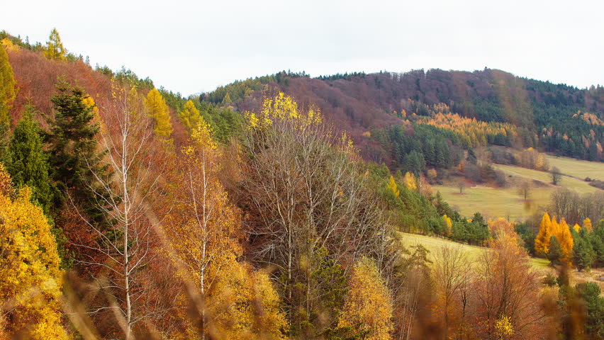Scenic autumn mountain countryside landscape with rolling hills, green meadows, and a colorful mixed forest of evergreen and deciduous trees. Warm fall colors and natural textures create a calm and peaceful rural scene. Ideal for themes related to nature, countryside living, sustainability, biodiversity, and environmental design.