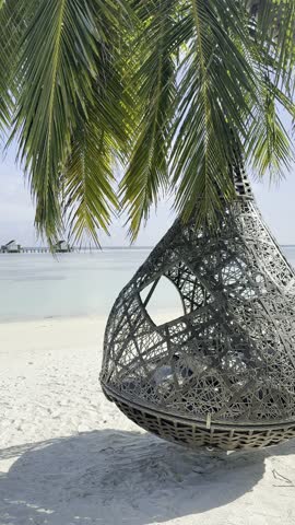 Maldives beach with palm trees and beautiful crystal clear water 