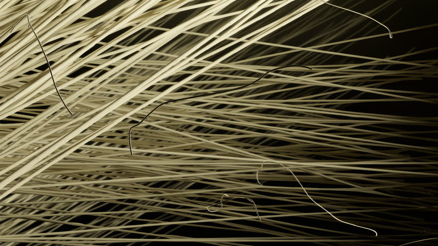 Abstract Skull Formed by Flowing Splines on Dynamic Background. 3D Illustration