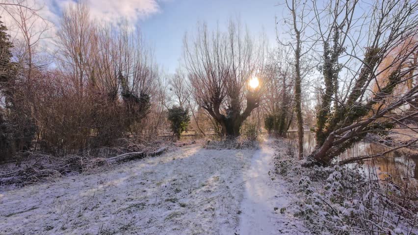 4K | Walking through Sheep