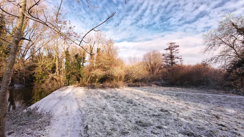 4K | Walking through Sheep