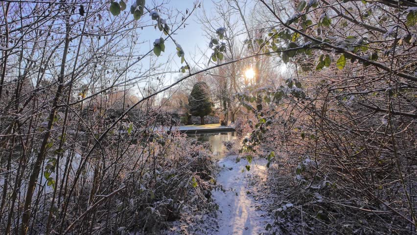 4K | Walking through Sheep