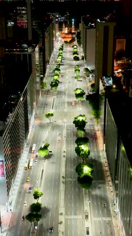 Night Avenue In Rio De Janeiro Brazil. Modern City Center With Skyscrapers Reflecting The Urban Life. Building Illuminated Urban. Town Up Above. City Landmark. Rio de Janeiro Brazil.