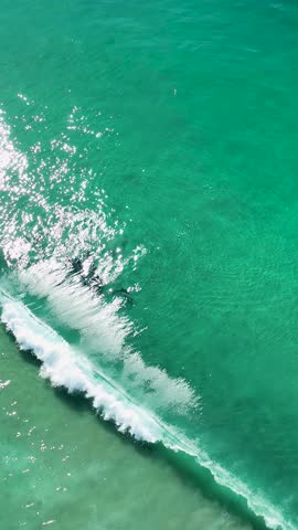 Dolphin Jumping In San Diego California United States. Scenic Wild Marine Animals Swimming In The Sea. Coast Clouds Seaside Summertime. Coast Panoramic. San Diego California.