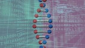Animation of binary coding, scientific data processing and dna strand spinning. global science, computing, data processing and digital interface concept digitally generated video. - Powered by Shutterstock - Get 15% off with code: PIKWIZARD15