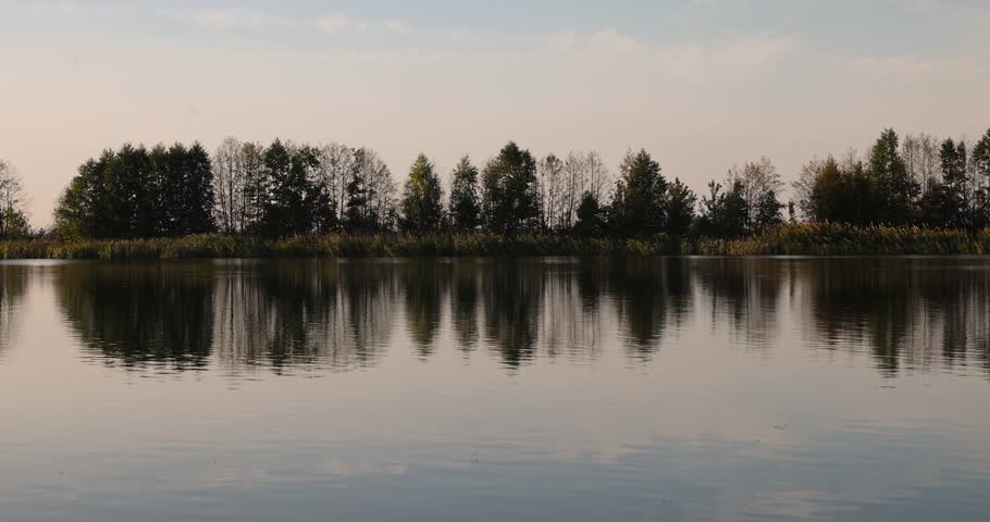 a lake in autumn weather at sunset, a wide lake with plants in the autumn season at sunset