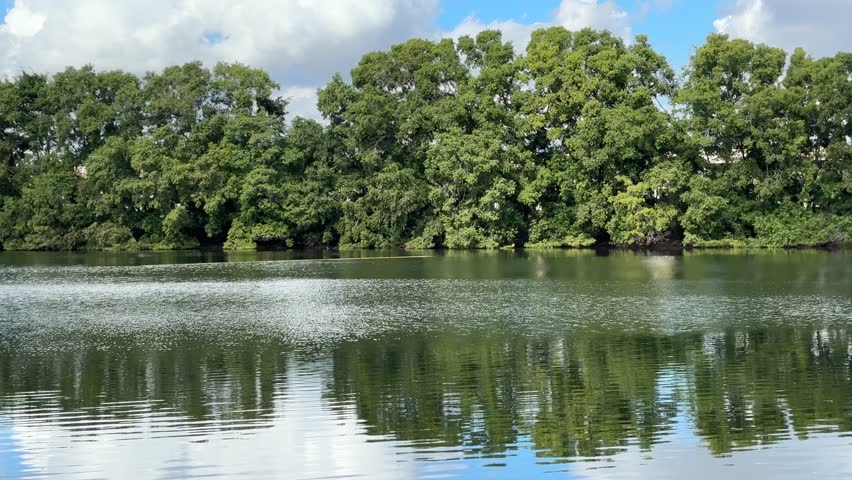A dark green lake and a peaceful landscape.