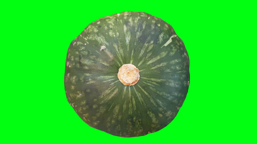 Green pumpkin on a green screen background.
