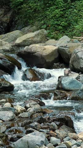 Creek, stream or small and quick mountain river with crystal clear flowing water. Source, spring water. Summer day. Water flows over the stones, in the alpine mountains, in the forest. Scenic relaxing