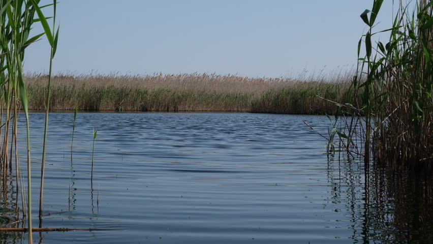 A view of a lake in the middle of the steppe in the Kherson region, Ukraine