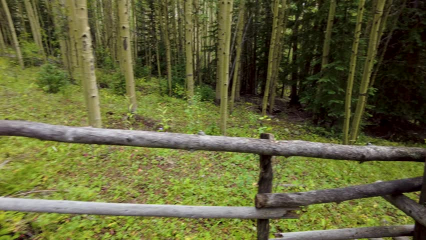 Quick turn around at fence to reveal old historic cemetery graveyard with unmarked tombstones and white wooden crosses in the forests of the Rocky Mountains.