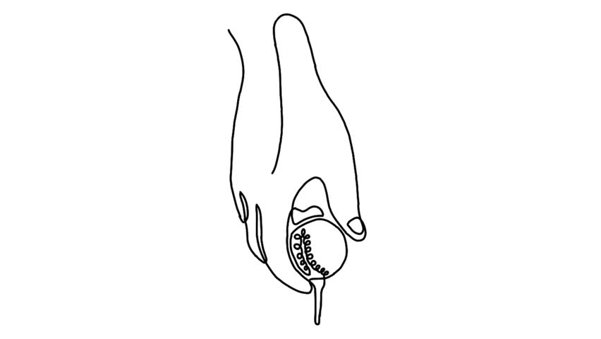 Continuous line animation of hand holding golf ball