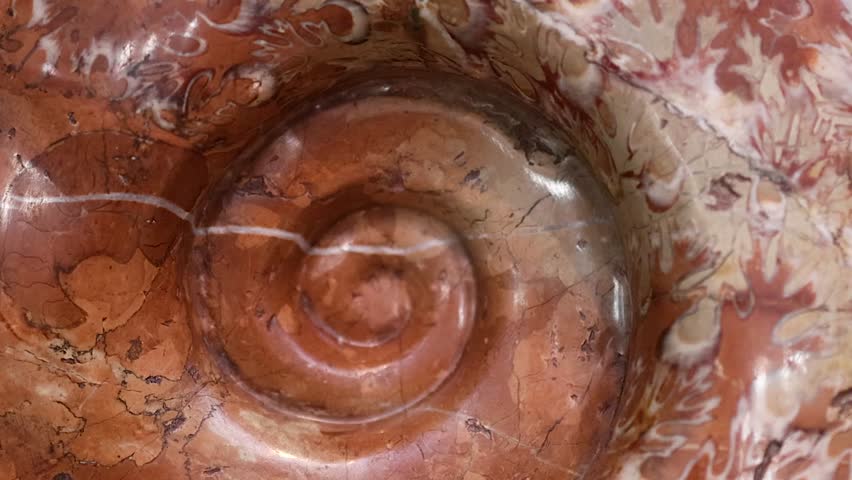 Macro view of a rotating ancient ammonite fossil, showcasing intricate spiral patterns and detailed textures.